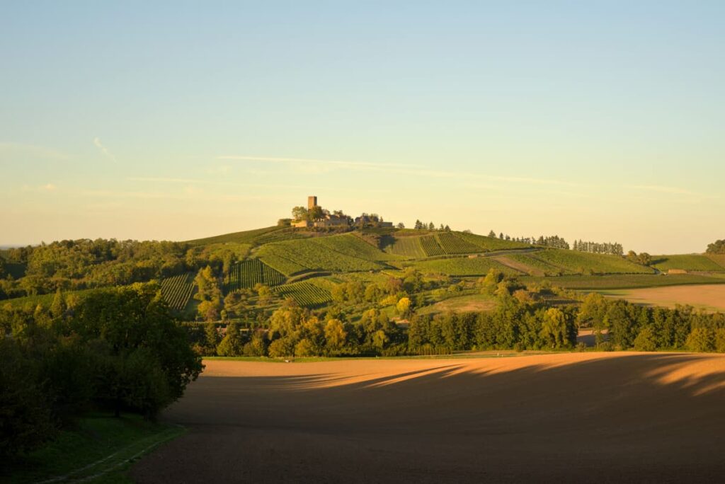 Weingut Burg Ravensburg in Baden, Blick aus der Ferne